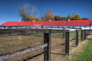 Red Roof Barn